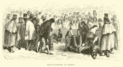 Cock-Fighting at Cuzco by Edouard Riou